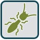 WDI/Termite Inspection