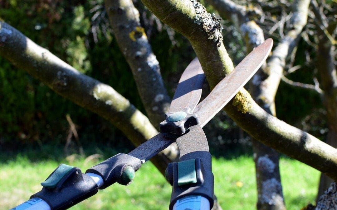 6 Essential Fall Home Maintenance Tasks