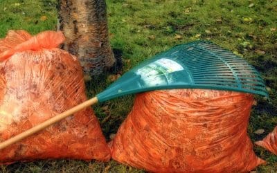 4 Tips to Prepare Your Home for Fall